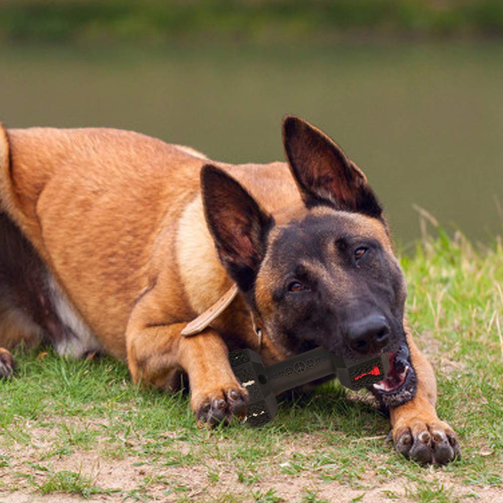 Non-Toxic Dental Dog Chew Toy