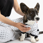 Polka Dot Dog Pajamas  Cozy & Stylish Matching PJs for Your Pup!
