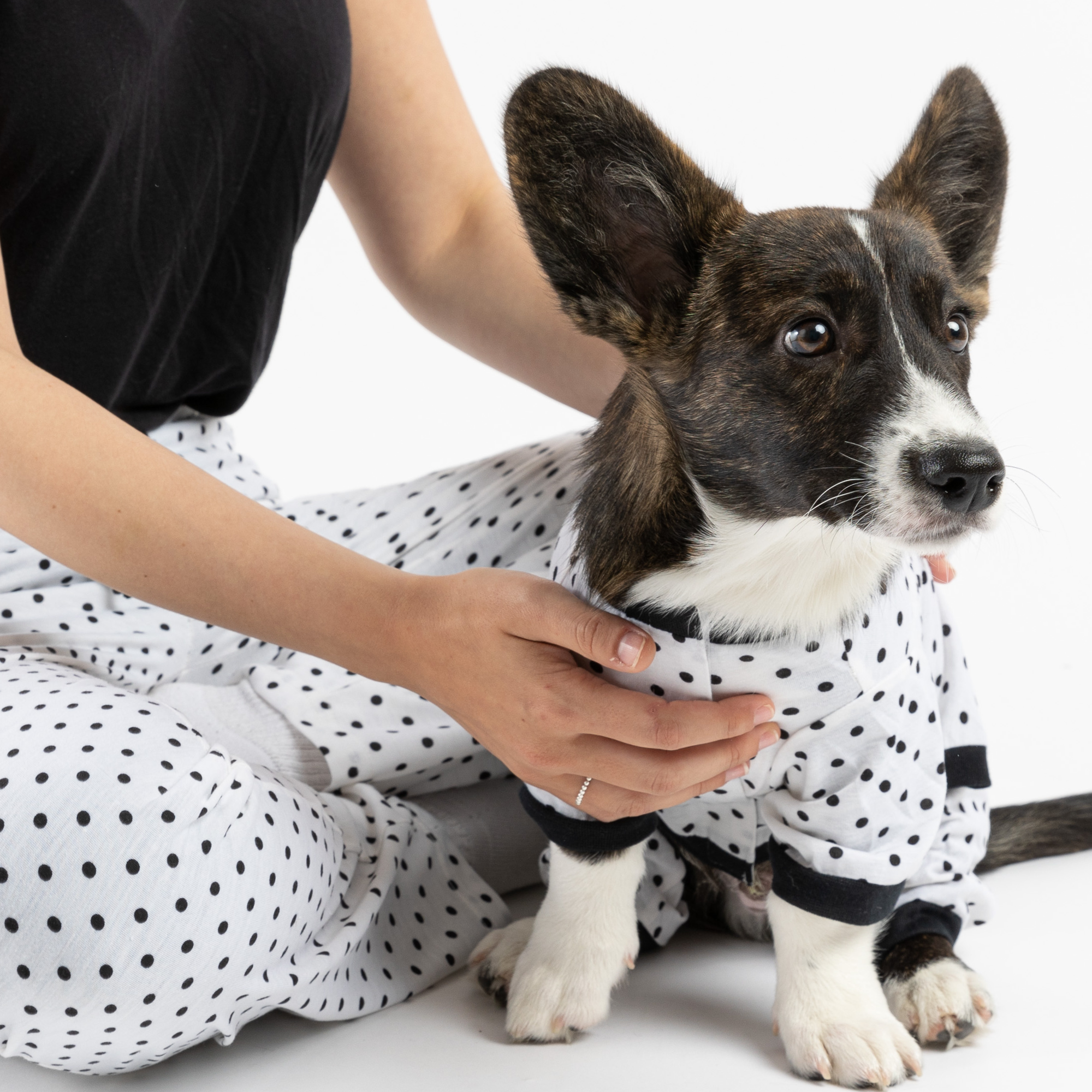 Polka Dot Dog Pajamas  Cozy & Stylish Matching PJs for Your Pup!