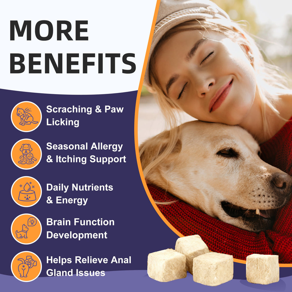 Dog Probiotics 6B CFUs 12 Strains with Pumpkin 250mg, Prebiotics & Digestive Enzymes, 120 Freeze-Dried Chews