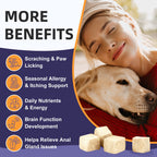 Dog Probiotics 6B CFUs 12 Strains with Pumpkin 250mg, Prebiotics & Digestive Enzymes, 120 Freeze-Dried Chews