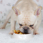 Healthy Treats for Dogs, Chicken Wrapped Banana for Small & Medium Dogs Treats, Low Fat Puppy Training Treats, 11 oz