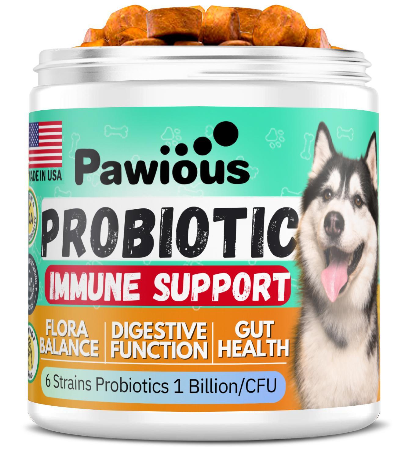 Probiotics for Dogs   Digestive Enzymes Gut Flora Digestive Health