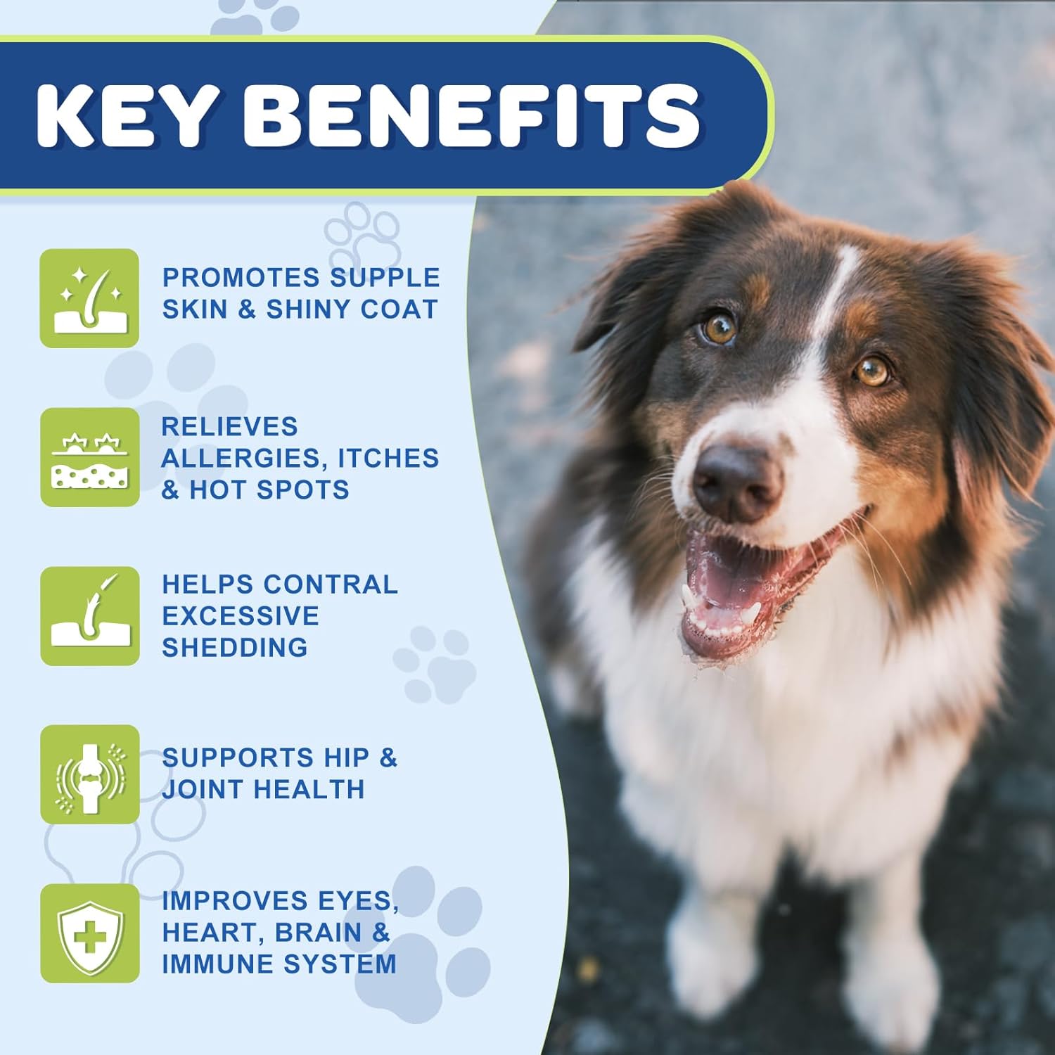 Omega-3 Fish Oil for Dogs & Cats, EPA 160mg + DHA 100mg, Omega-3-6-9 with Zinc & Biotin, Salmon Flavor, 120 Chews