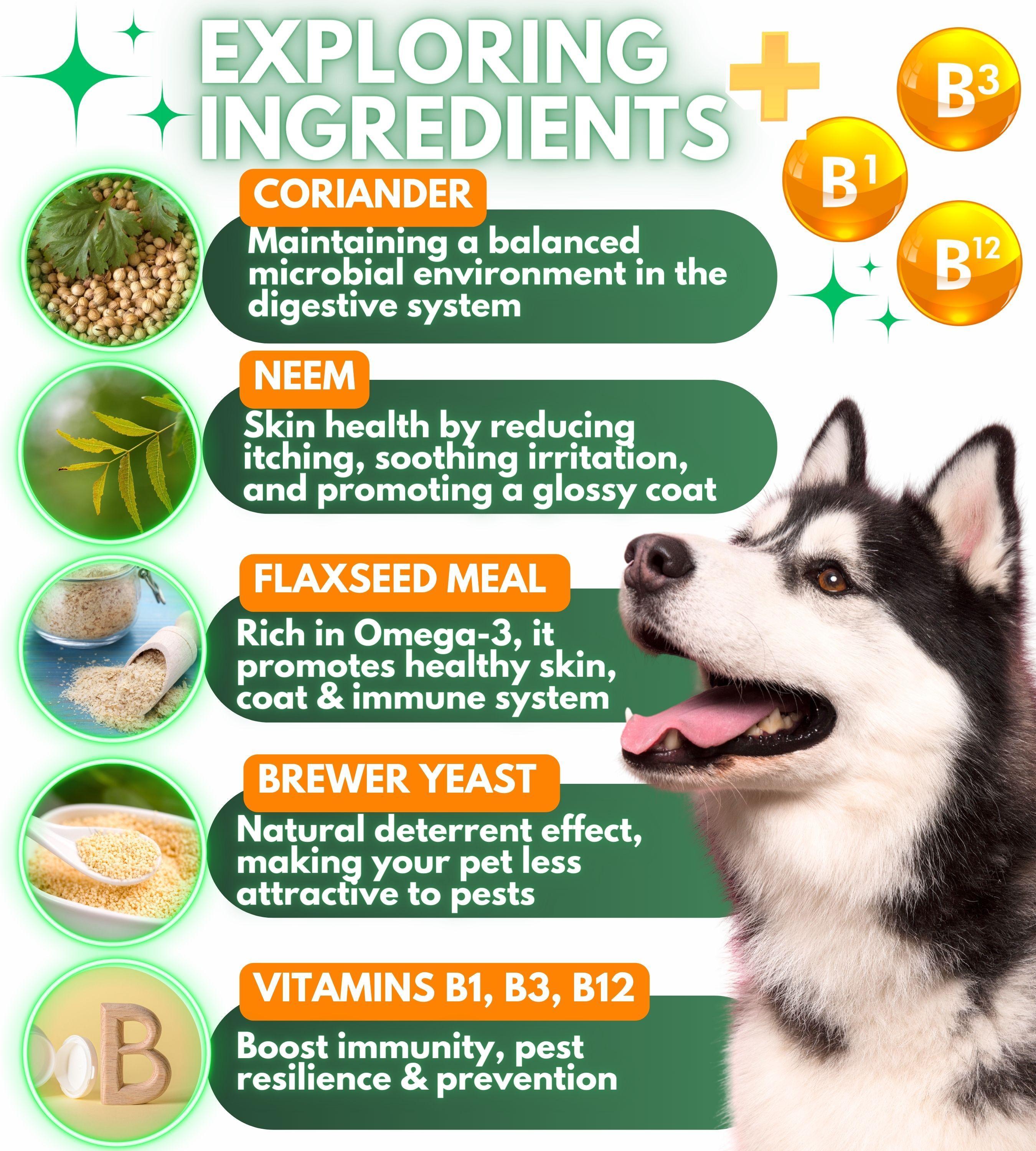Natural Flea and Tick Prevention for Dogs Chewables