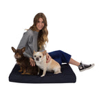 Pet Support Systems Orthopedic Memory Foam Dog Bed