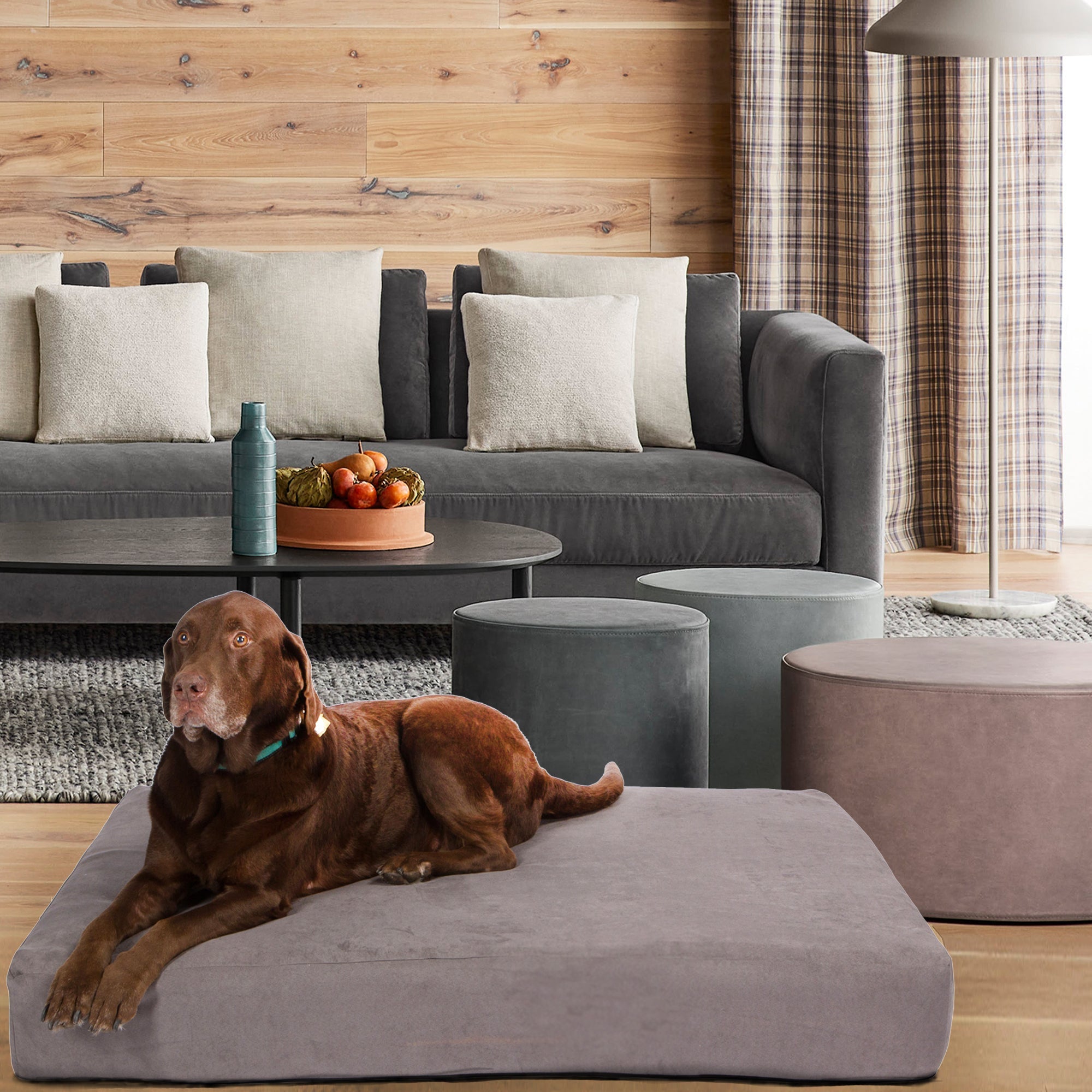 Pet Support Systems Lucky Dog Orthopedic 7" Memory Foam  Dog Bed
