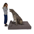 Pet Support Systems Lucky Dog Orthopedic 7" Memory Foam Dog Bed with Bolster - REFURBISHED