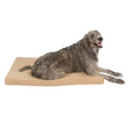 Pet Support Systems Orthopedic Gel Memory Foam Dog Bed