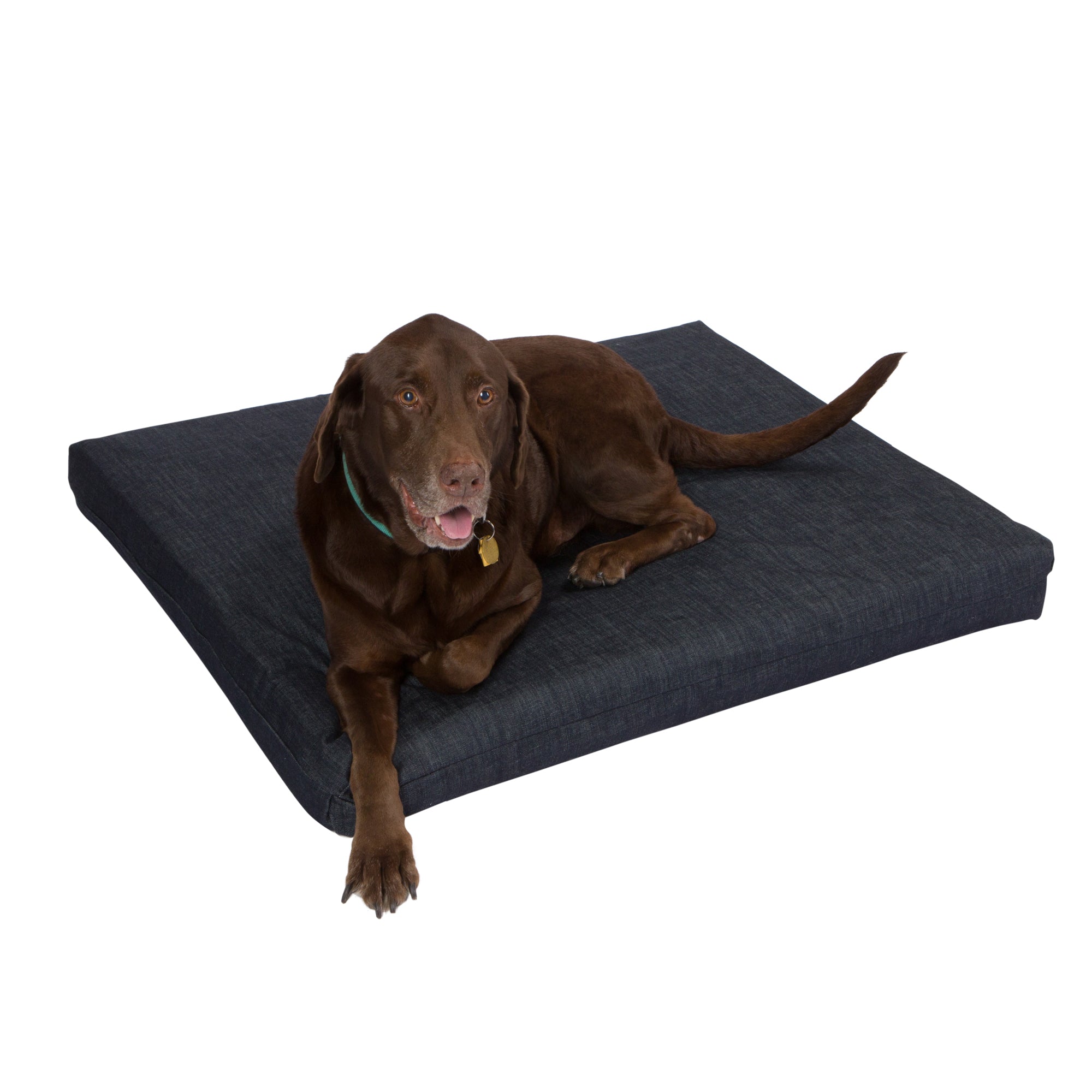 Pet Support Systems Orthopedic Gel Memory Foam Dog Bed
