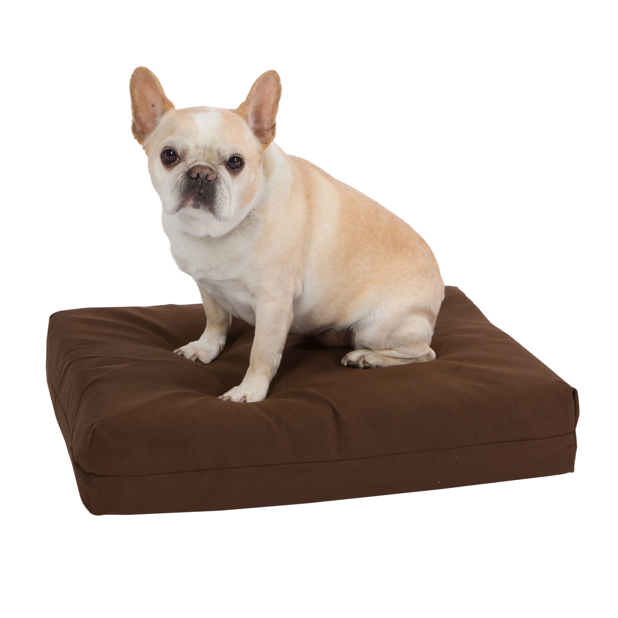 Pet Support Systems Orthopedic Memory Foam Dog Bed - REFURBISHED