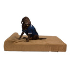 Pet Support Systems Lucky Dog Orthopedic 7" Memory Foam Dog Bed with Bolster - REFURBISHED