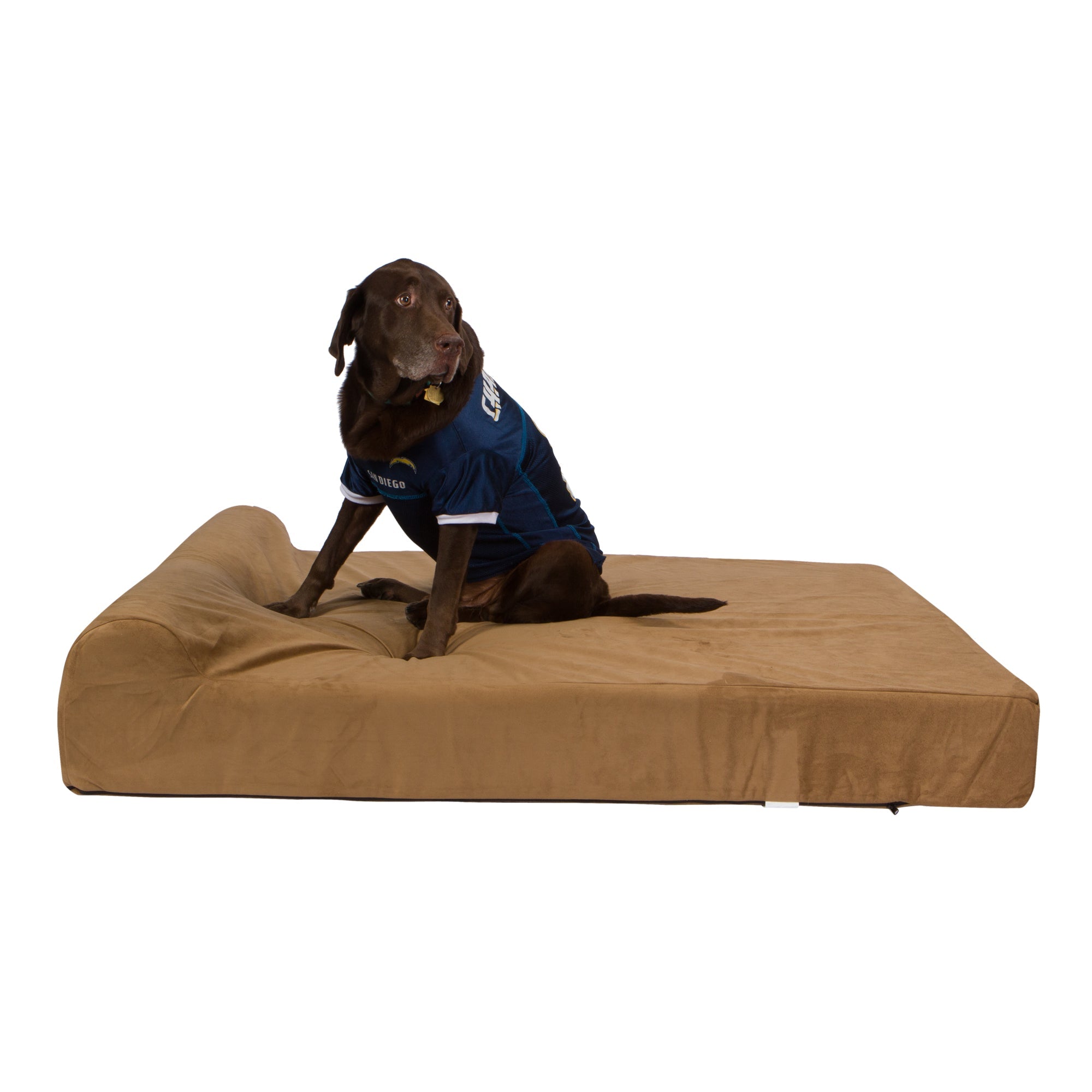 Pet Support Systems Lucky Dog Orthopedic 7" Memory Foam Dog Bed with Bolster - REFURBISHED