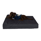 Pet Support Systems Lucky Dog Orthopedic 7" Memory Foam Dog Bed with Bolster - REFURBISHED