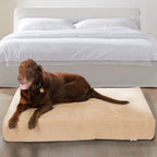 Pet Support Systems Lucky Dog Orthopedic 7" Memory Foam  Dog Bed