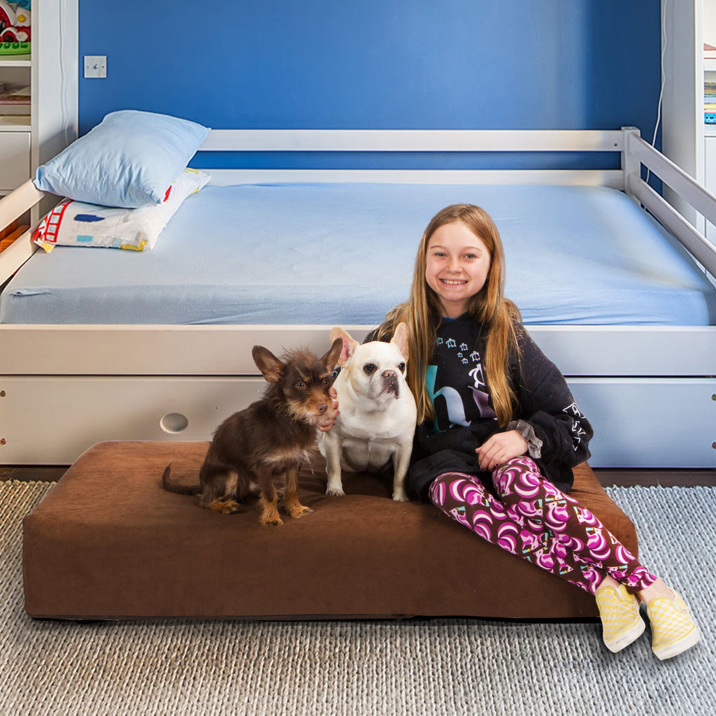 Pet Support Systems Lucky Dog Orthopedic 7" Memory Foam  Dog Bed