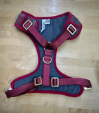Dog Harnesses and Collars