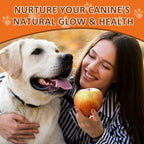 Dog Omega-3 Fish Oil Chews 320mg, EPA 63mg & DHA 84mg, Salmon Flavor, 120 Soft Chews