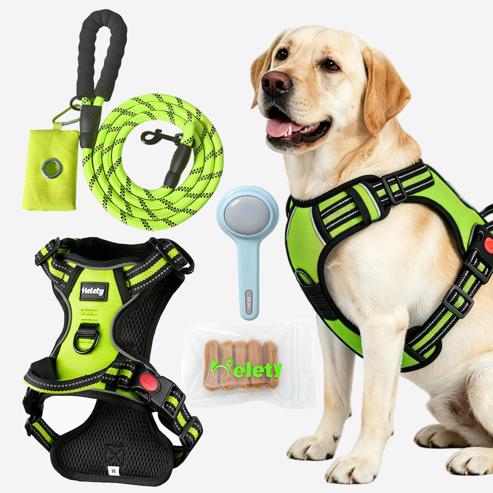 HELETY Dog Walking Gift Set – No Pull Harness + Leash + Grooming Brush + Dog Treats
