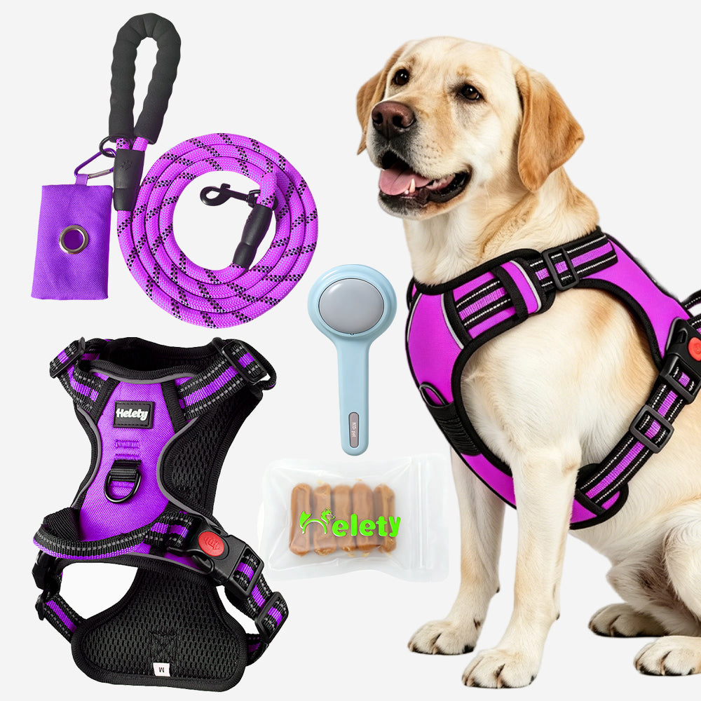 HELETY Dog Walking Gift Set – No Pull Harness + Leash + Grooming Brush + Dog Treats