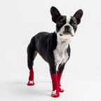 Red Compression Dog Socks  Anti-Skid, Supportive & Cozy Paw Protection