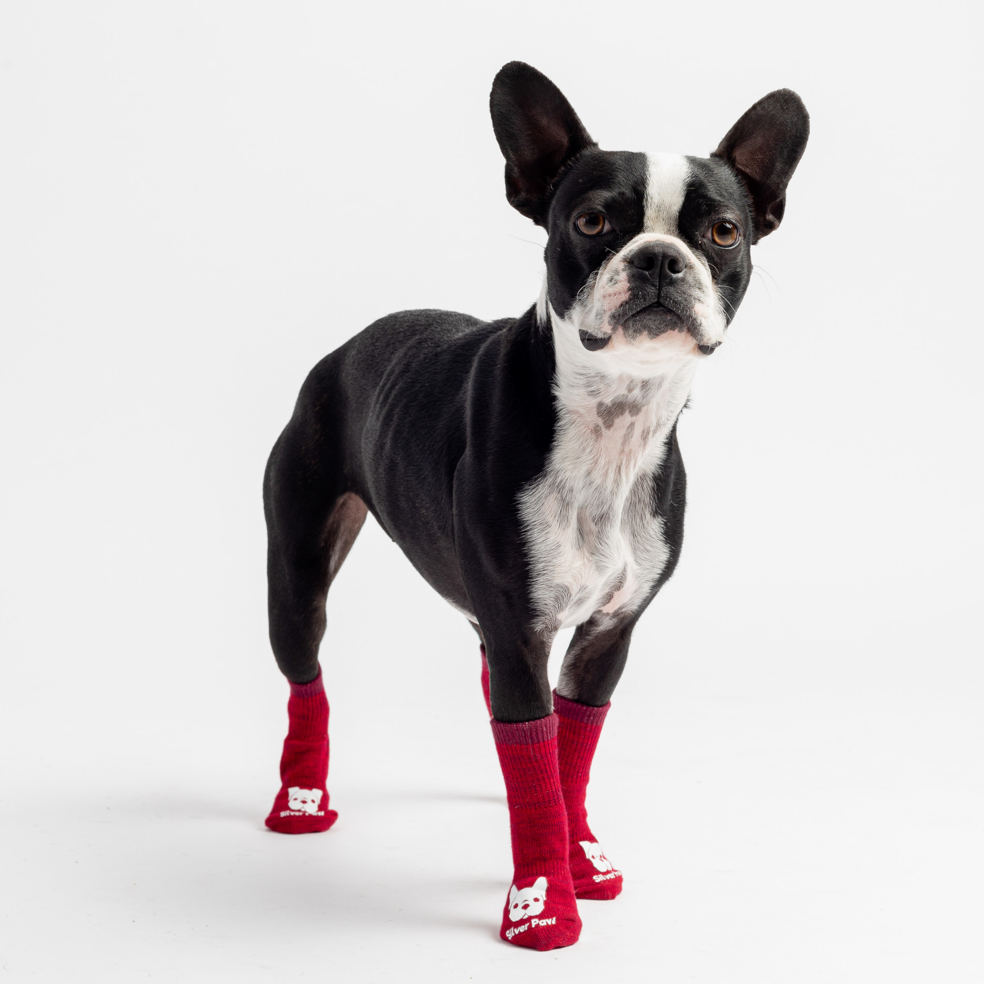 Red Compression Dog Socks  Anti-Skid, Supportive & Cozy Paw Protection