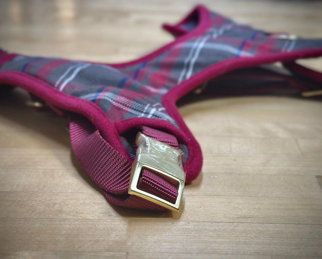 Dog Harnesses and Collars
