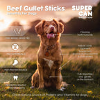 6" Beef Gullet Sticks - 8onz Bag