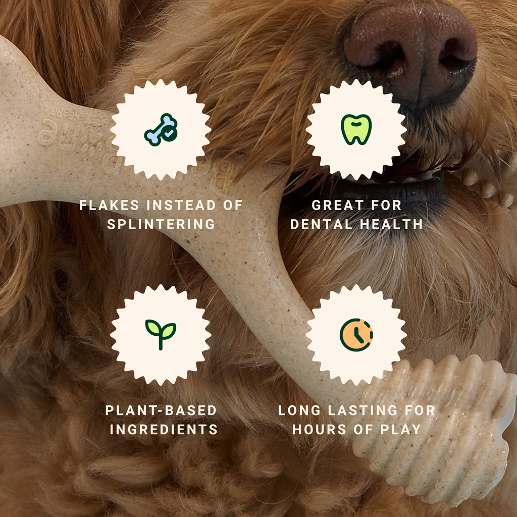 BetterBone Mini Chew Toy