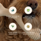 BetterBone Mini Chew Toy