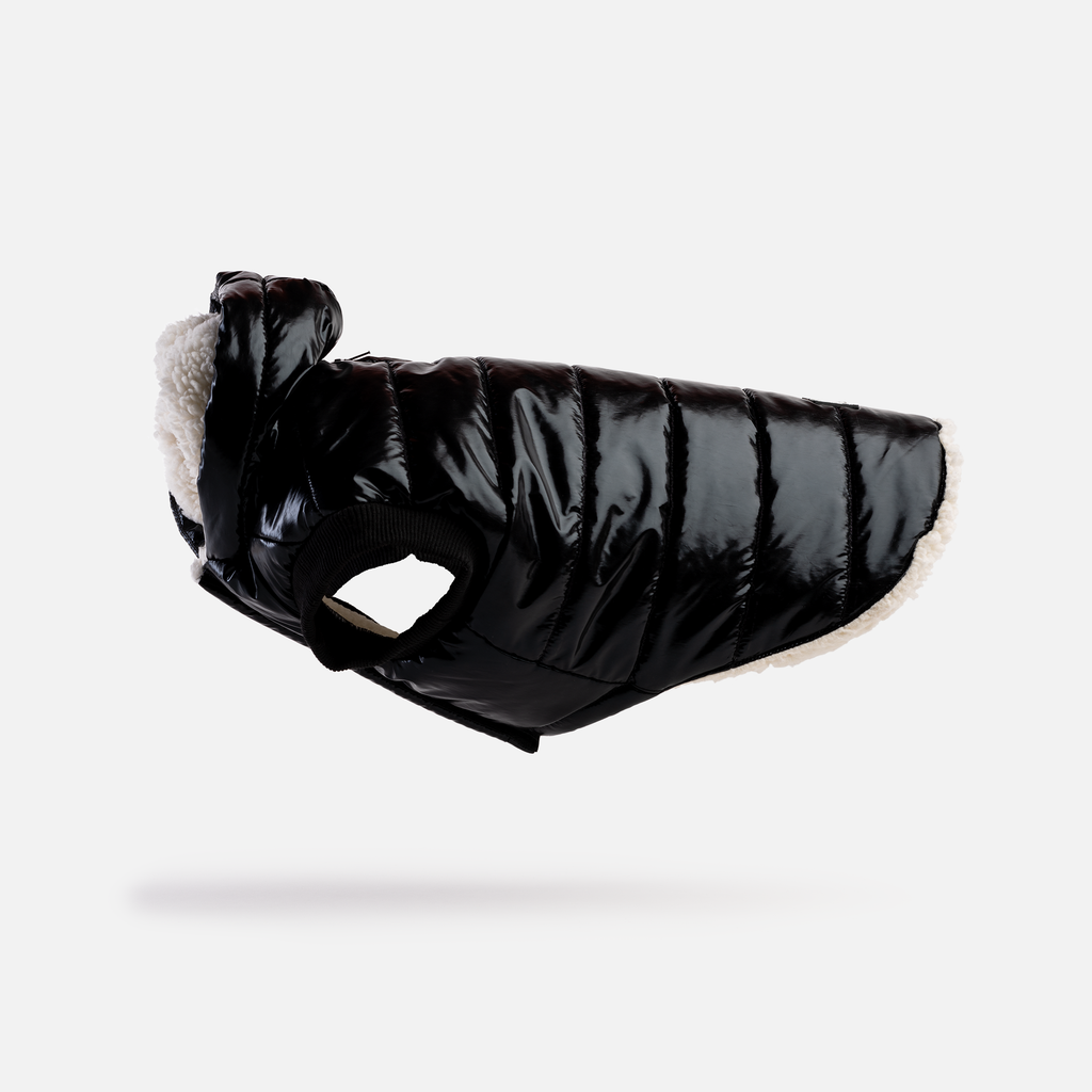 Emma Dog Jacket  Shiny Black Water-Resistant Winter Coat with Sherpa