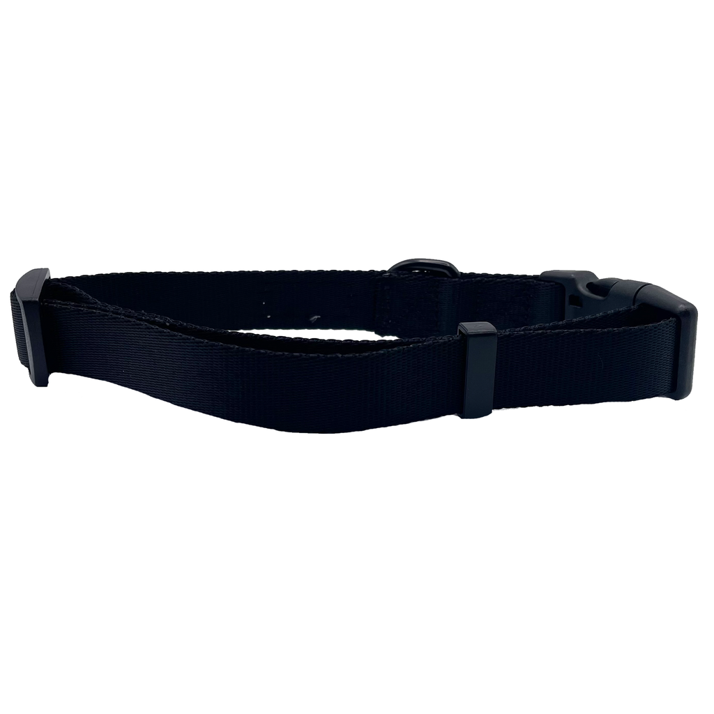 Black Dog Collar