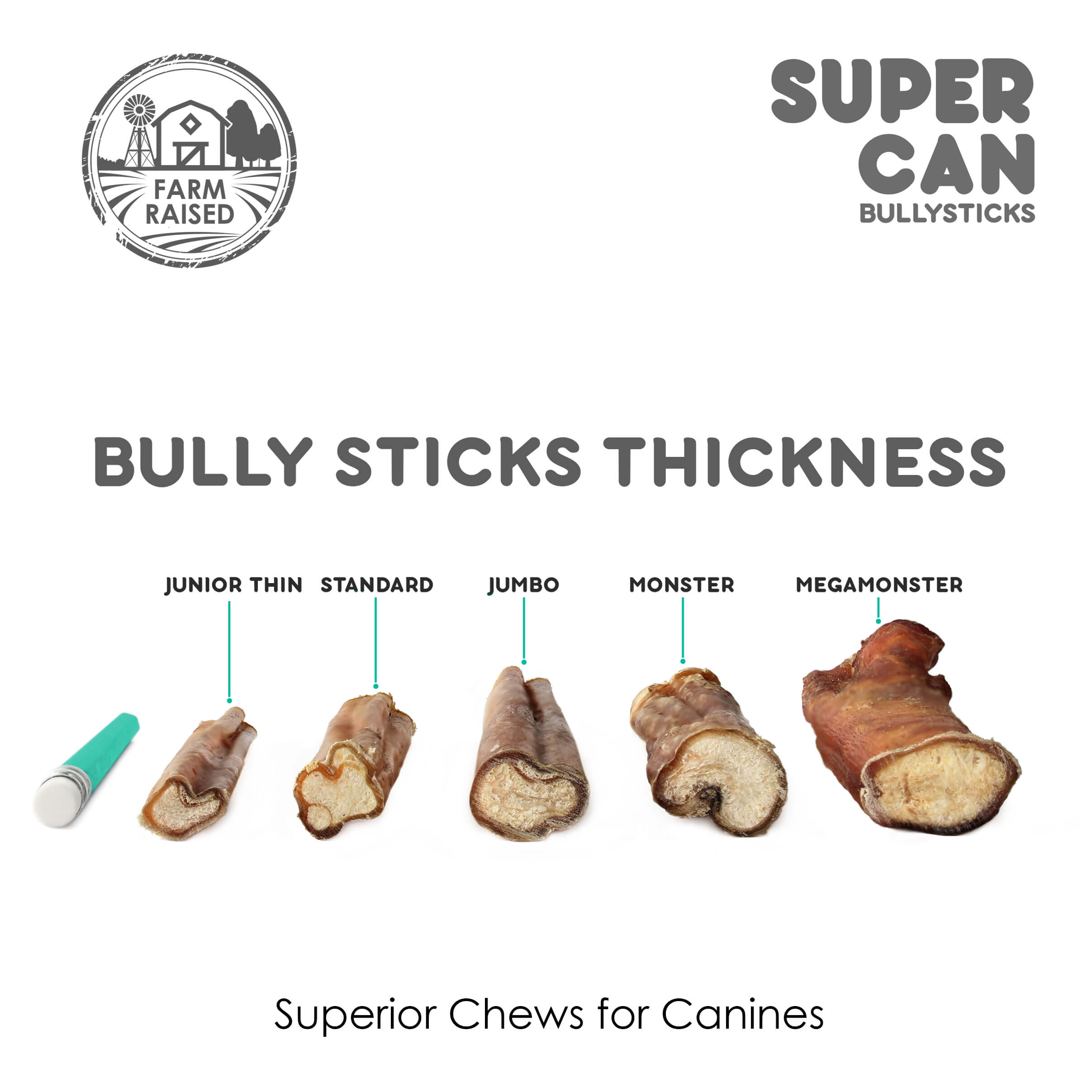 6" Standard Bully Sticks