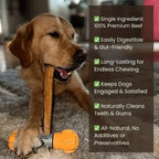 12-Inch Monster Bully Sticks — Extra-Thick, 100% Beef, Odor-Free Chew