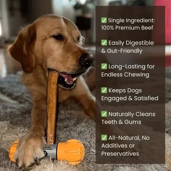 12-Inch Monster Bully Sticks — Extra-Thick, 100% Beef, Odor-Free Chew