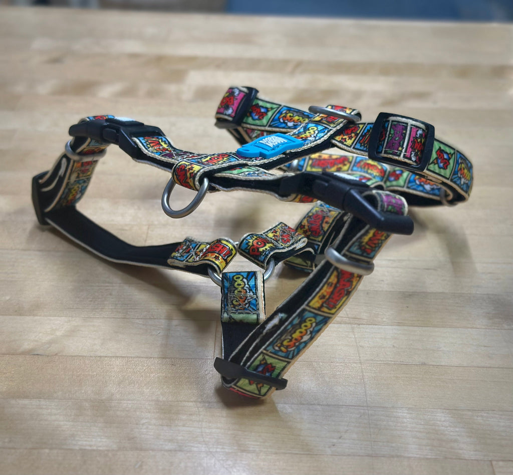 Dog Harnesses and Collars