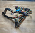 Dog Harnesses and Collars