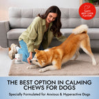 Pet Vet Products® Dog Calming Chews – Beef Liver Soft Chews for Stress, Relaxation & Anxious Behavior Support, 60 Count