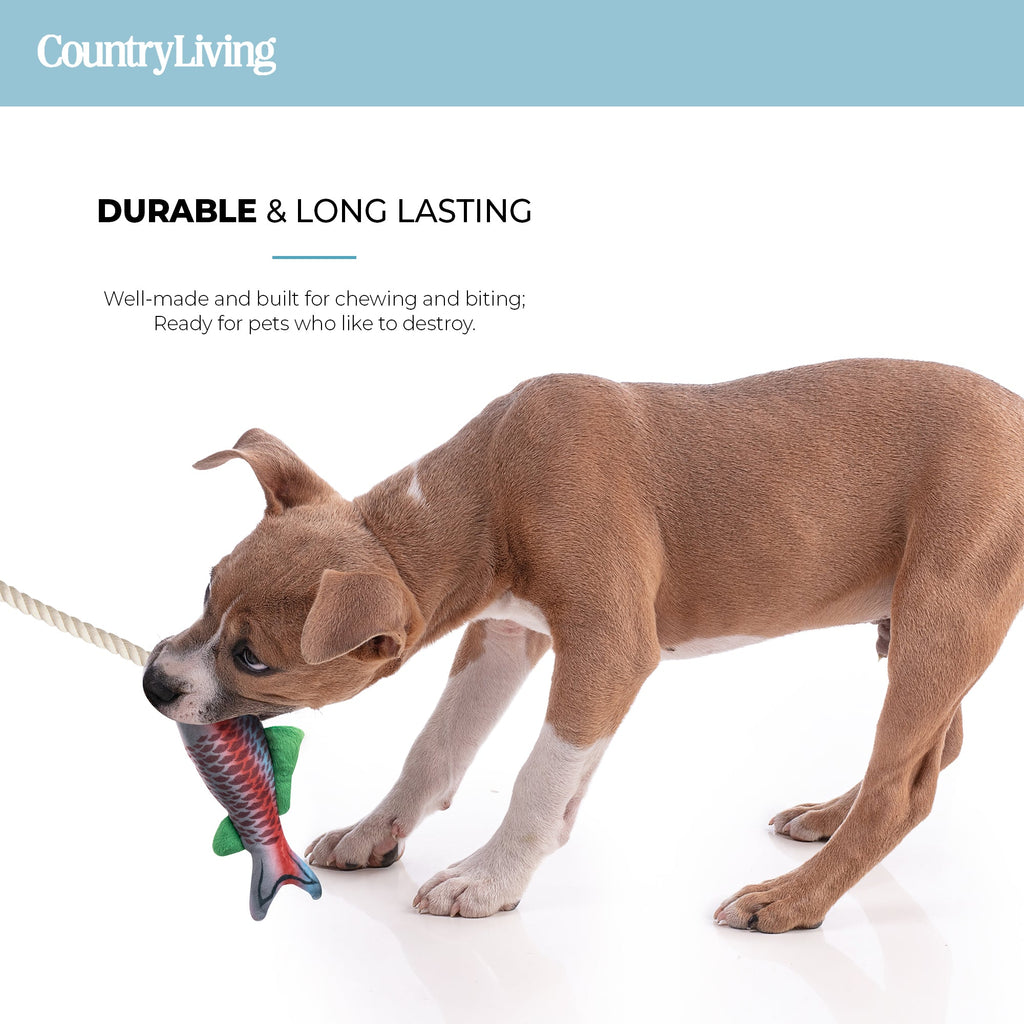 Durable Fish & Mason Jar Dog Toys  2 Pack for Aggressive Chewers