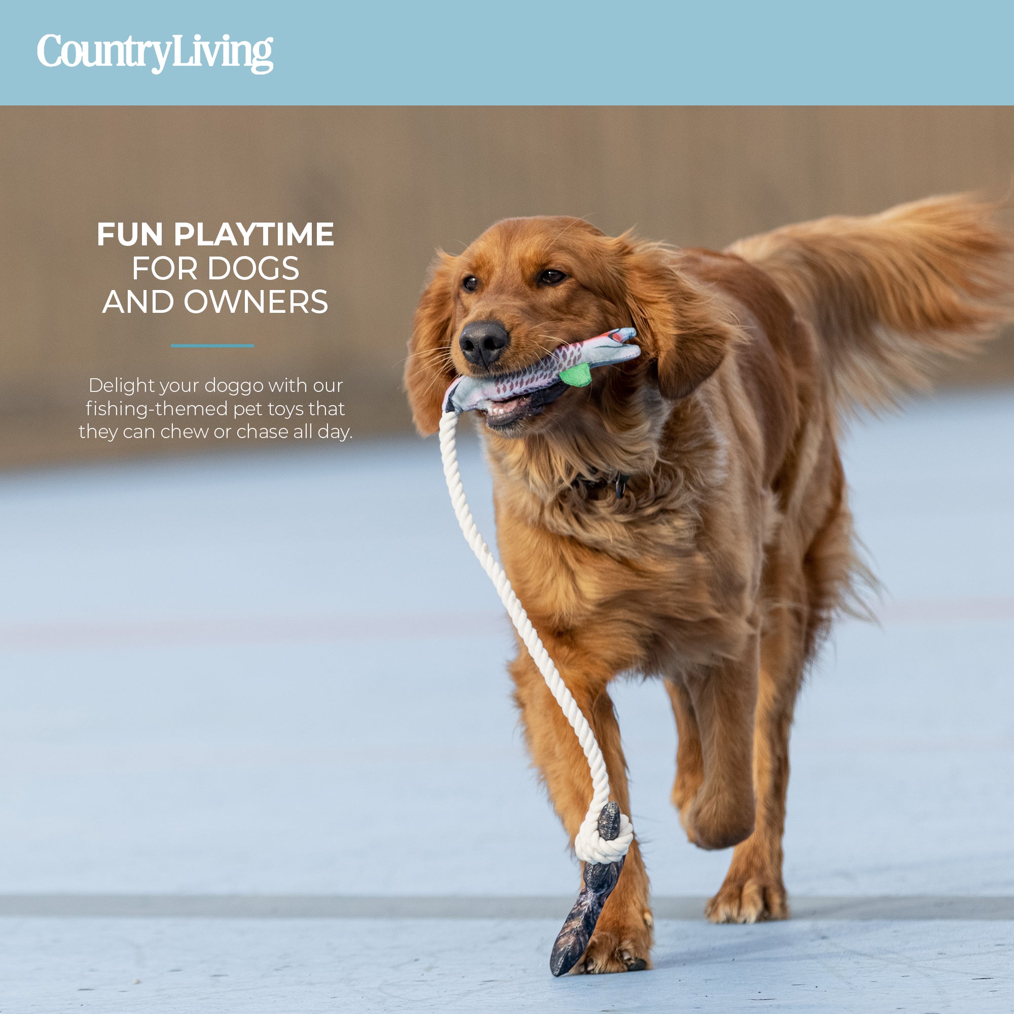 Durable Fish & Mason Jar Dog Toys  2 Pack for Aggressive Chewers