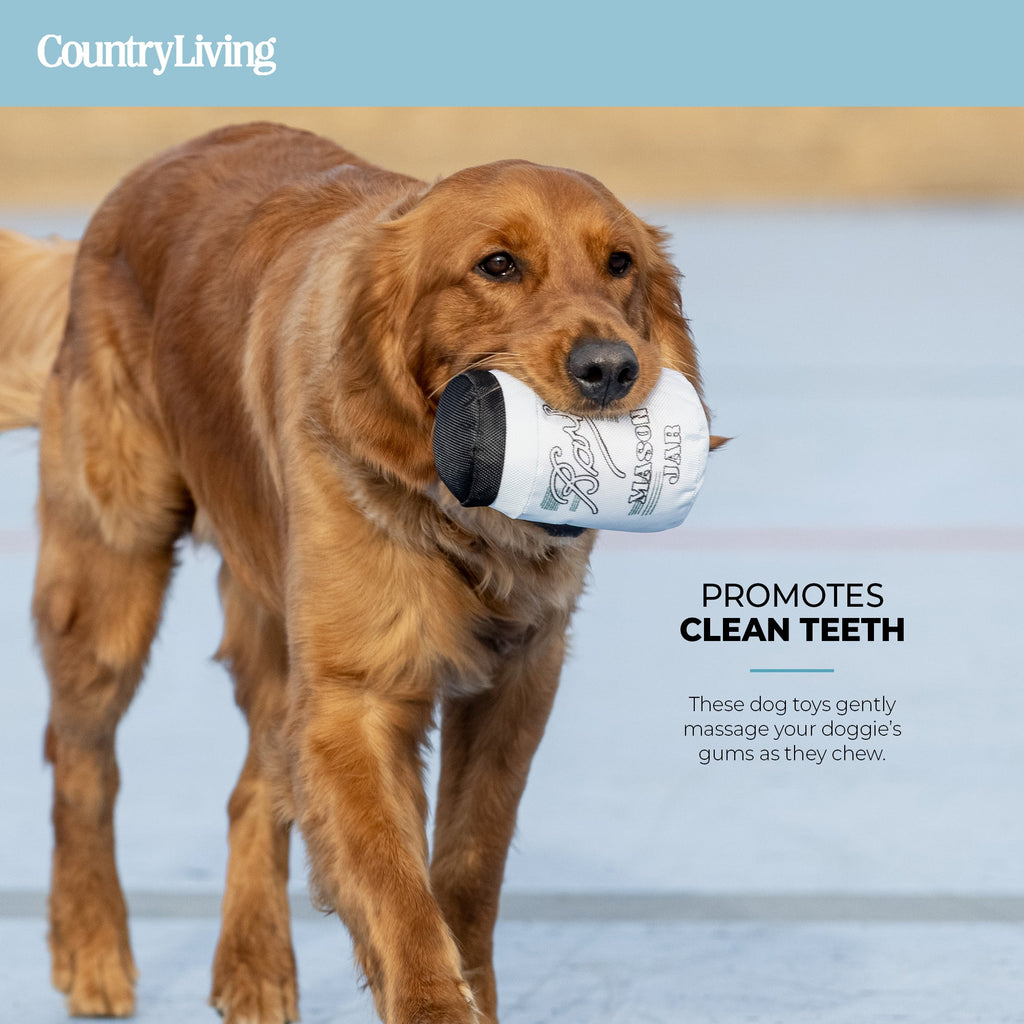 Durable Fish & Mason Jar Dog Toys  2 Pack for Aggressive Chewers
