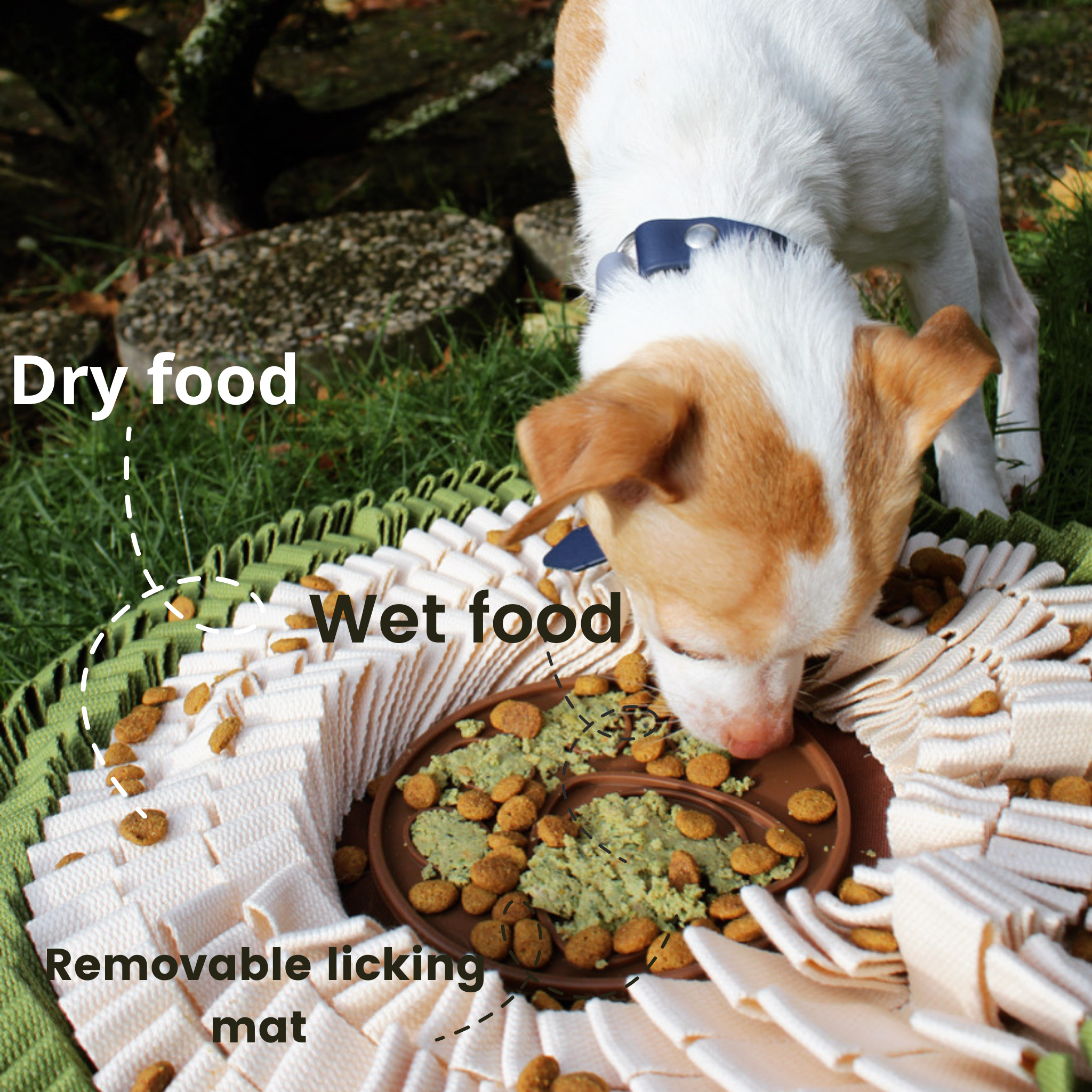 Injoya's "Lick Mat" for Fast Eaters