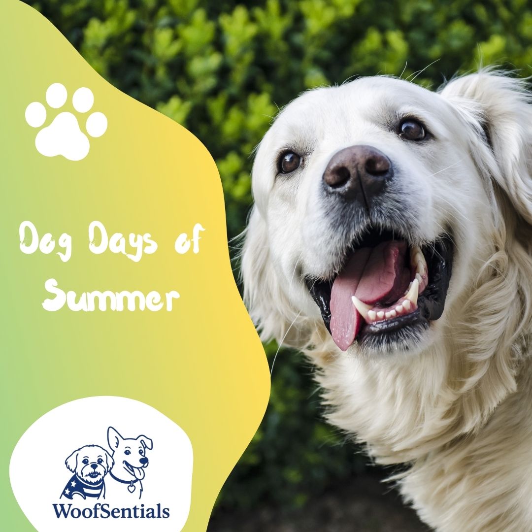 WoofSentials Dog Days of Summer eGift Card