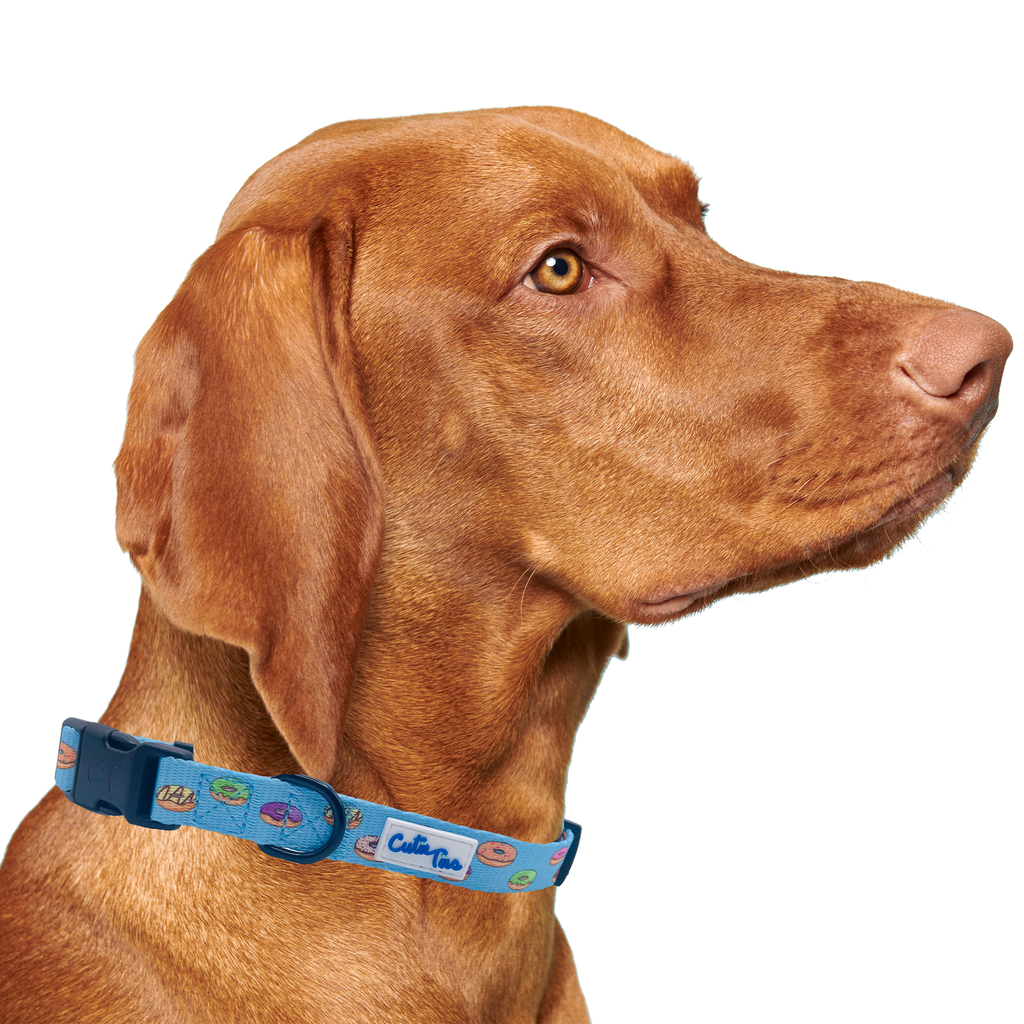 Donuts Dog Collar