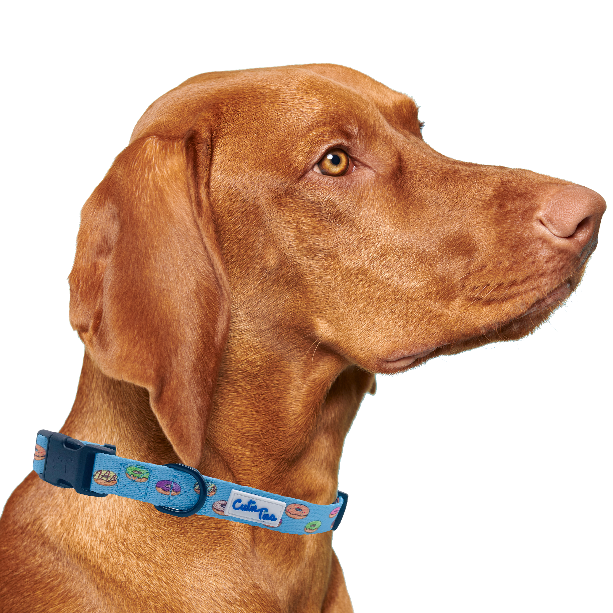 Donuts Dog Collar