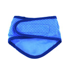 ICE BAND - Dog Cooling Bandana - Blue