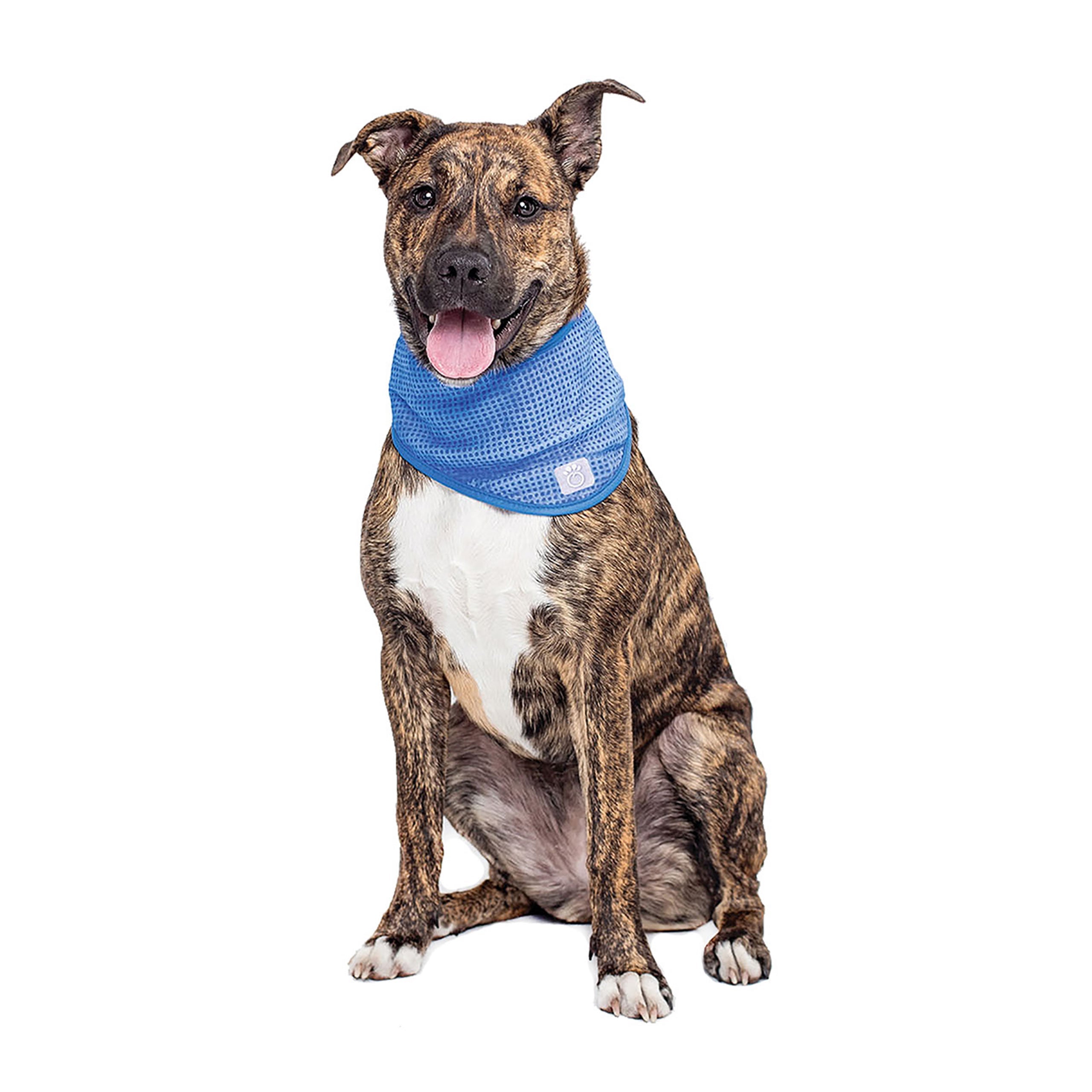 ICE BAND - Dog Cooling Bandana - Blue