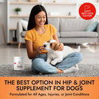 Pet Vet Products® Glucosamine Hip & Joint Supplement for Dogs – Beef Liver Flavor, 60 Soft Chews with MSM & Chondroitin for Mobility Support