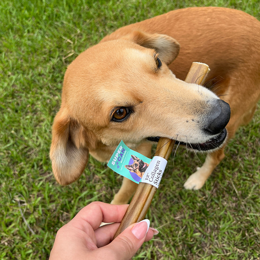12" Collagen Sticks for Dogs