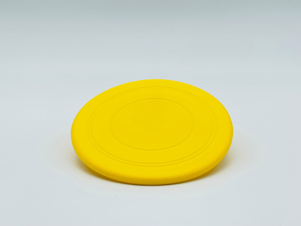 Fetch Me Frisbee